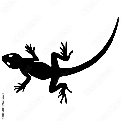 Domestic reptile, lizard solid icon   © Vectors Market
