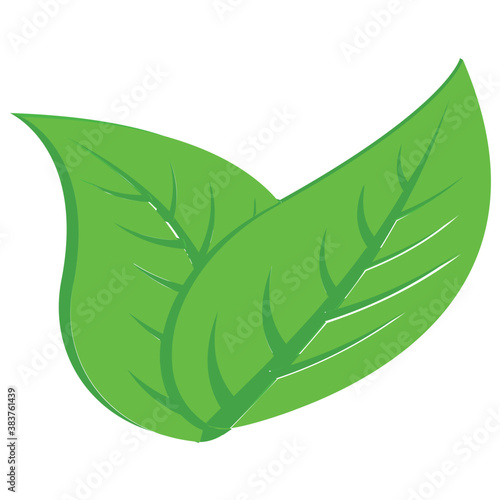 
Popular leaves flat icon
