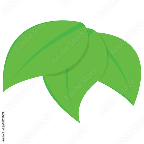 
Popular leaves flat icon
