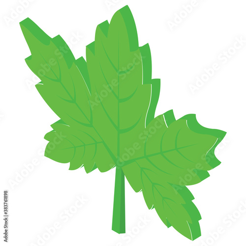 
Popular leaves flat icon
