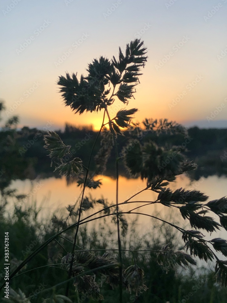 Obraz premium sunset on the lake