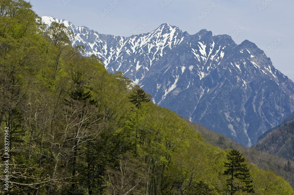 Fototapeta premium 新緑の安房峠から穂高連峰を臨む