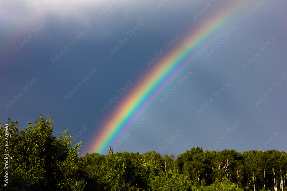 Rainbow over the summer mixed forest, cloudy sky and clear rainbow colors, forest road. Natural landscape. Rainbow colors after rain. Rain clouds. Rainbow over the summer mixed forest, cloudy sky and clear rainbow colors, forest road. Natural landscape. Rainbow colors after rain. Rain clouds.