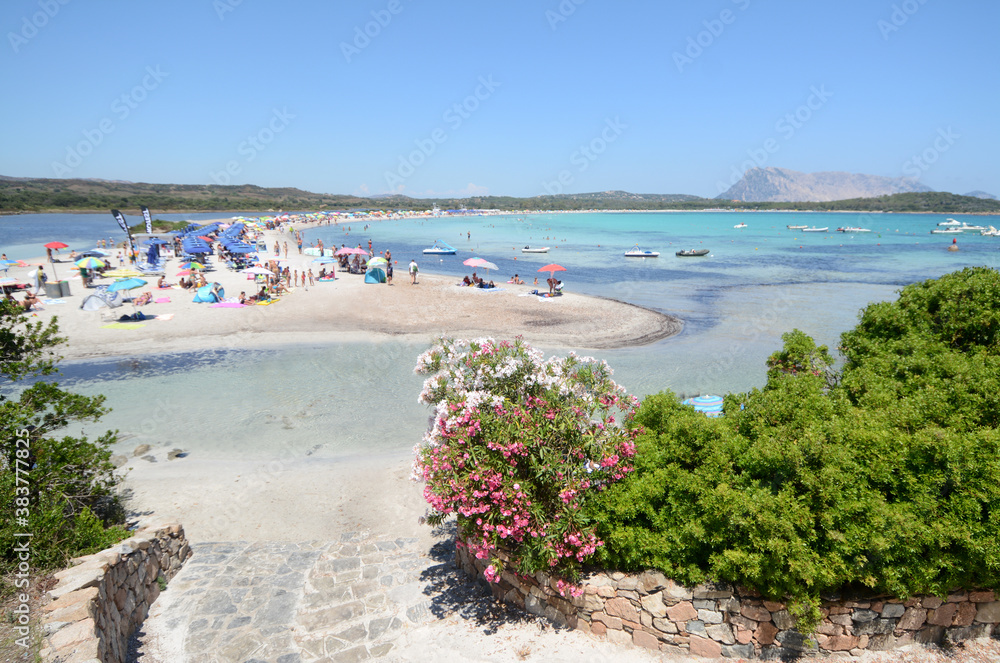 Fototapeta premium Italy / Sardinia �?? July 13, 2020: Brandinchi beach in Sardinia is wonderful for the color of the water and for the view of the very high island of Tavolara.