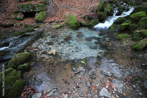 Castilla y León, León, Argovejo. La naturaleza se transforma a un letargo para surgir con más fuerza. photo