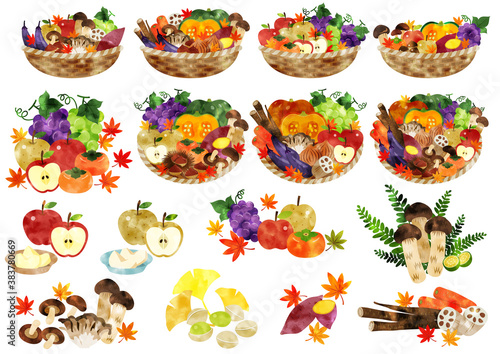水彩 秋の野菜と果物 カゴ盛り