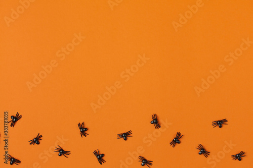 spiders on an orange table © alexxndr