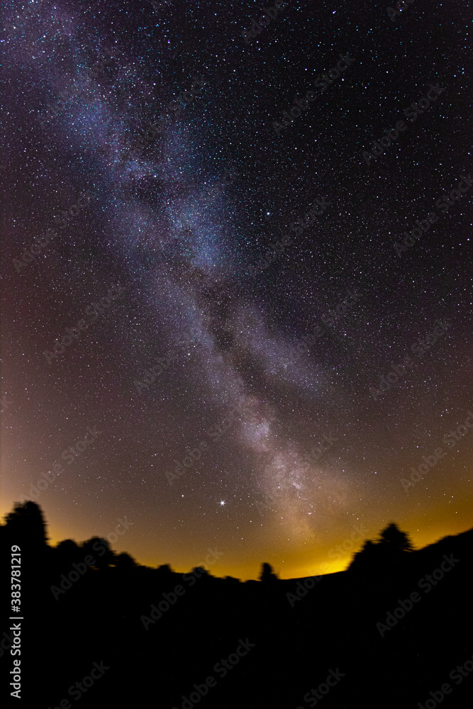 milky way over the forest milky way over the forest