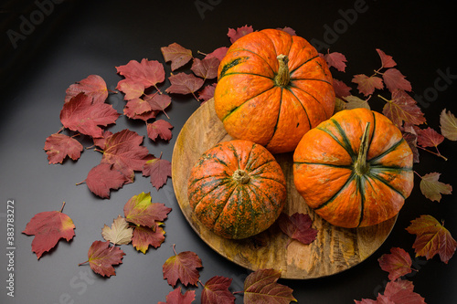 A large round wooden plate with three ripe orange pumpkins of different sizes on a black background. Beautiful autumn leaves around.