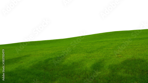 grüner Rasenhügel vor weißem Hintergrund 