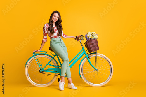 Full length body size photo of pretty girl sitting on bicycle with basket of flowers smiling isolated on vivid yellow color background photo