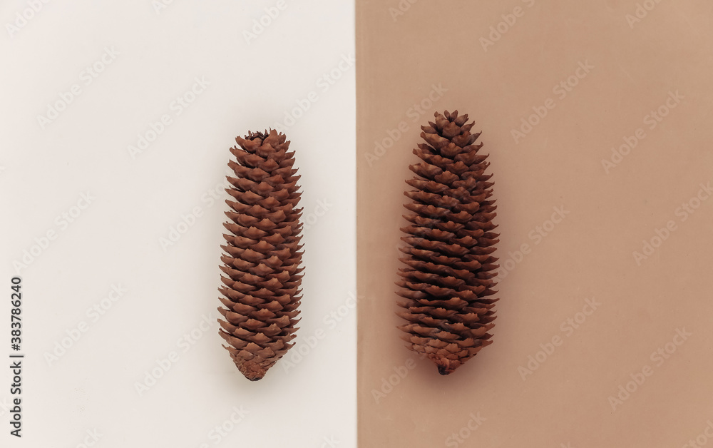 Pine cones on a brown-beige background. Top view Pine cones on a brown-beige background. Top view