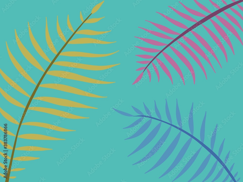 Fototapeta premium palm leaf background