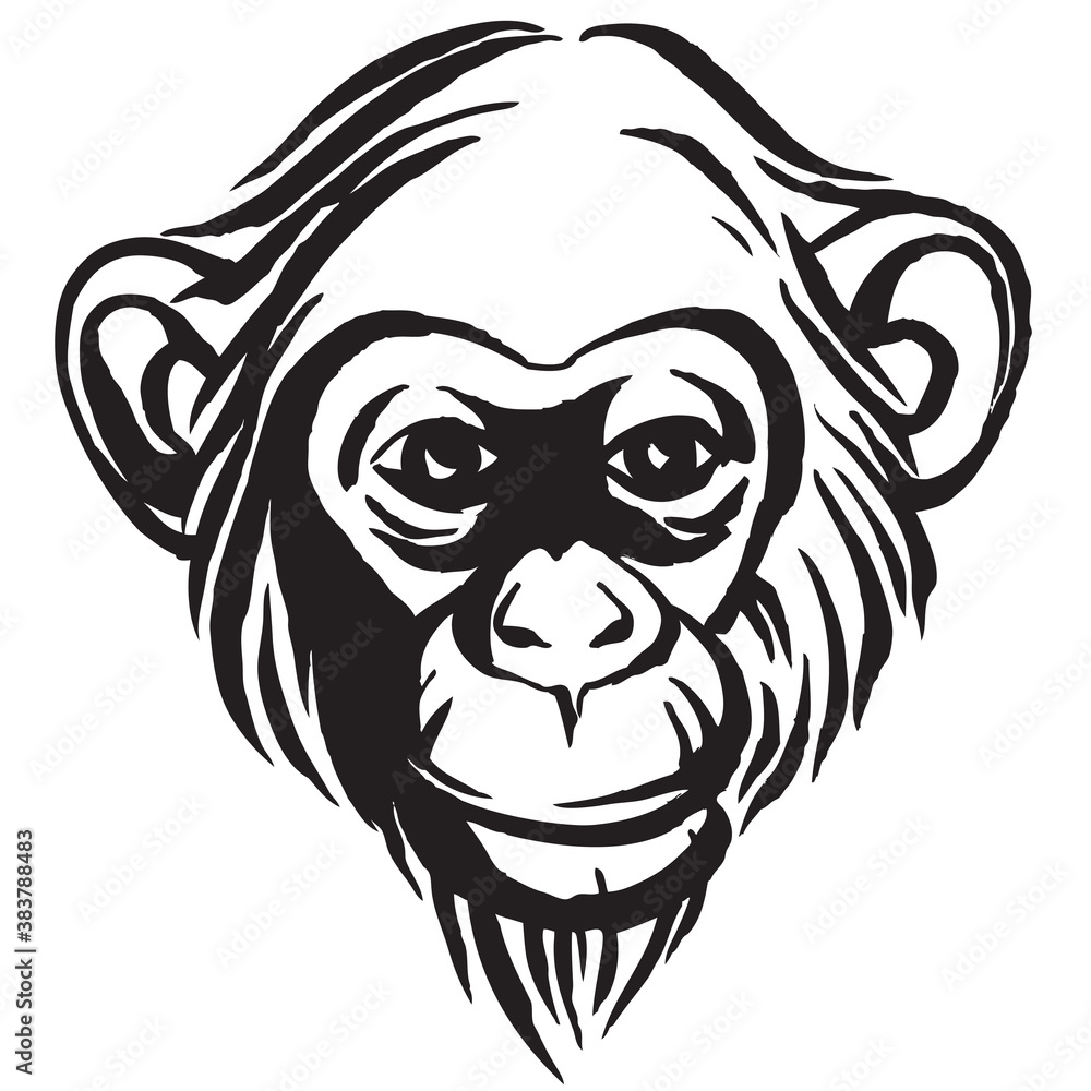 Hand drawn portrait of  monkey chimpanzee. Black and white