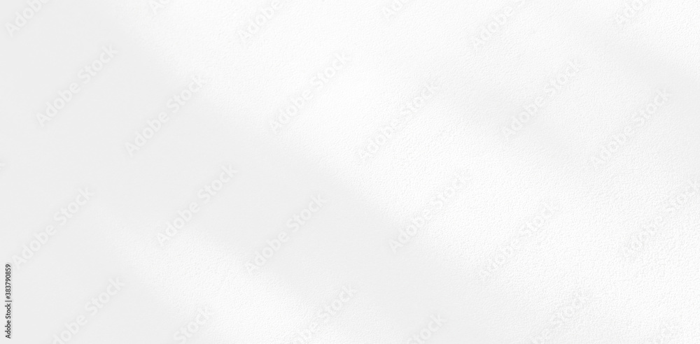 Abstract Shadow. blurred background. gray leaves that reflect concrete walls on a white wall surface for blurred backgrounds and monochrome wallpapers. Abstract Shadow. blurred background. gray leaves that reflect concrete walls on a white wall surface for blurred backgrounds and monochrome wallpapers.