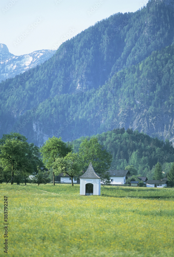 Obraz premium 草原の小屋