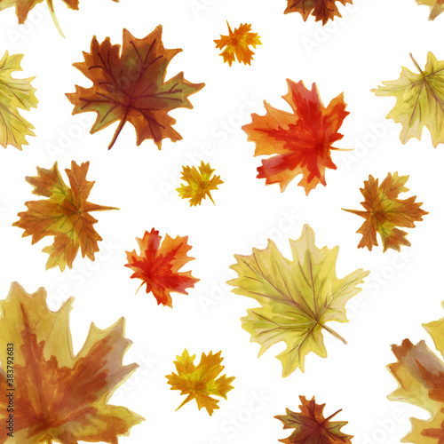 Seamless pattern of autumn maple leaves. Pattern of bright leaves on a white background. Autumn watercolor pattern for fabric, paper packaging, holiday cards.