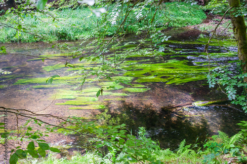 Tableau sur toile Wilde Klamm böhmische Schweiz 2020