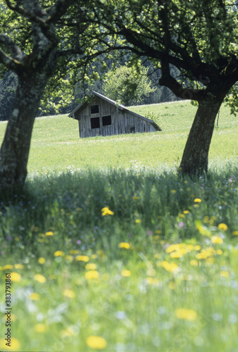 草原の小屋