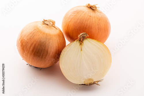 Wallpaper Mural タマネギ Torontodigital.ca