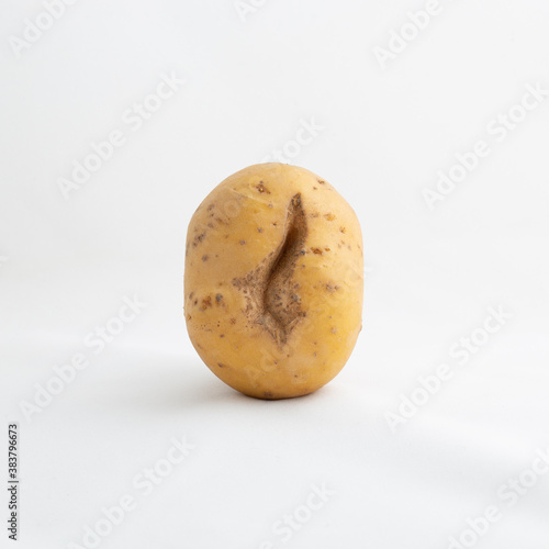 Raw potato with scar standing upright isolated infront of white baground