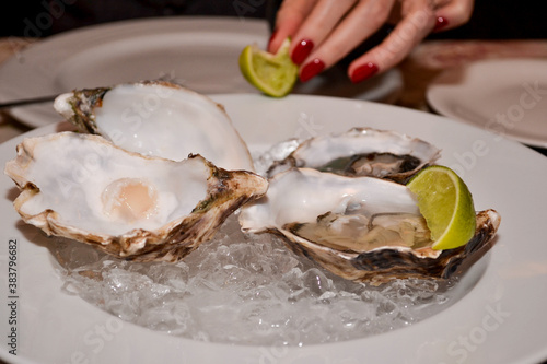 Delicious and luxury fresh oysters with lime 