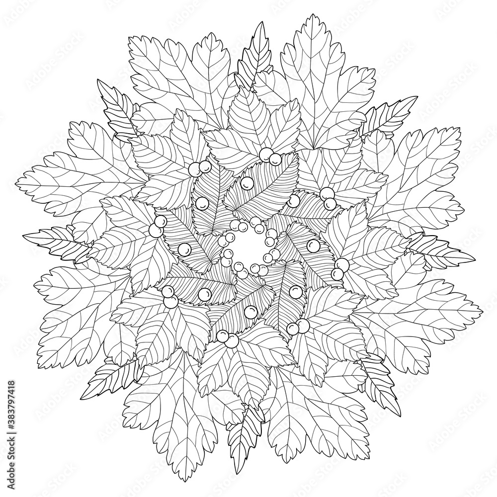 Natural mandala of oak, birch, aspen leaves, berries with simple patterns on white isolated background. For coloring book pages.