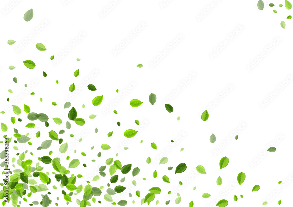 Lime Leaf Blur Vector Backdrop. Tea Foliage Lime Leaf Blur Vector Backdrop. Tea Foliage