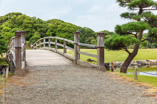 日本庭園の池に架かる木製の橋