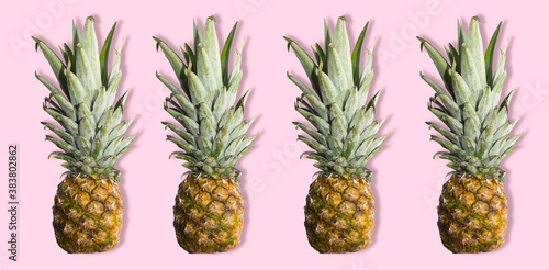 patter. bright pineapple on a pink background. minimalistic style. the view from the top. isolate