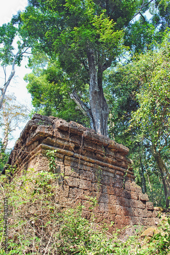 Ruins of the wall of the ancient Preah Khan temple and a tree. Angkor, Cambodia