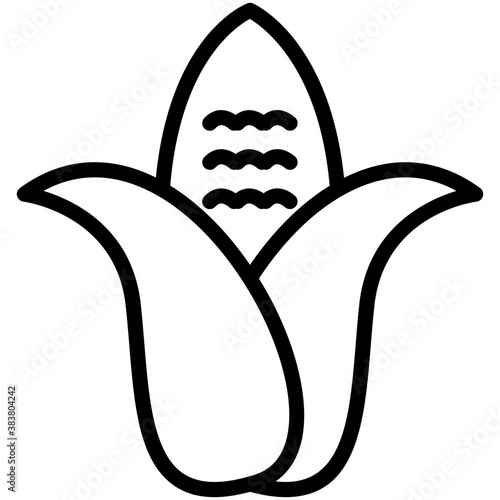 Corn Cob