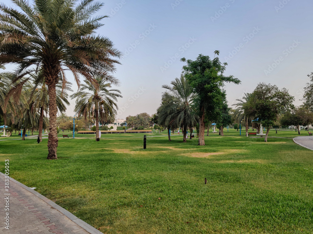 Famous Abu Dhabi city corniche park, UAE - beautiful modern park scene at sunset - stress free view