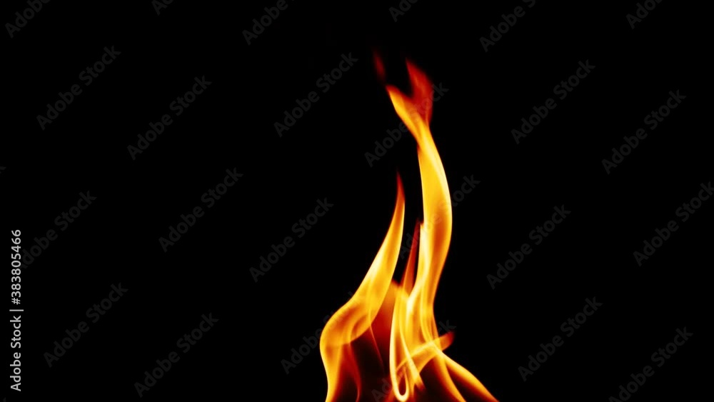 Isolated real fire flame igniting and burning on black background in slow motion Isolated real fire flame igniting and burning on black background in slow motion