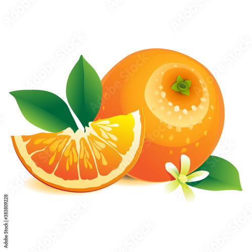 Orange with leaves and flowers