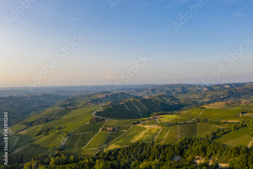 Drone photo of wine land in Piedmonte, Italy