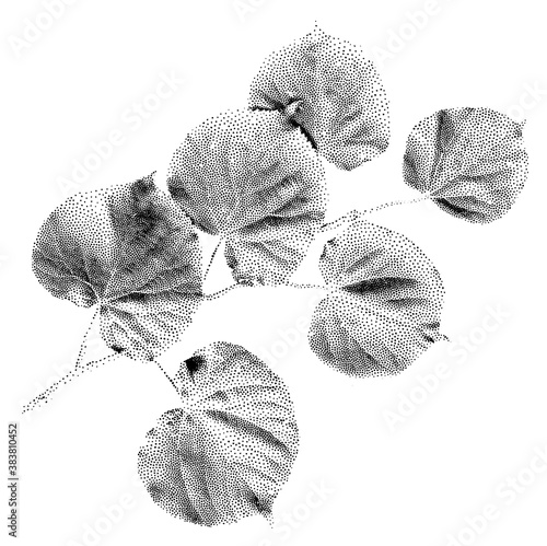 Linden leaf vector in dots style isolated on white background. Monochrome tree branch for minimalist graphic design