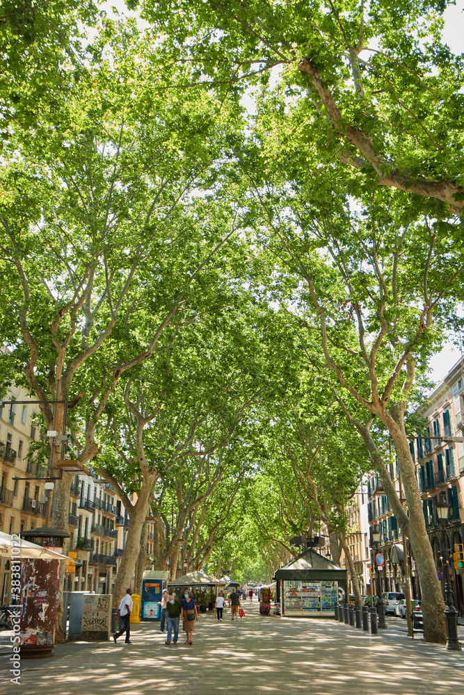 Las Ramblas in Barcelona, Spain
