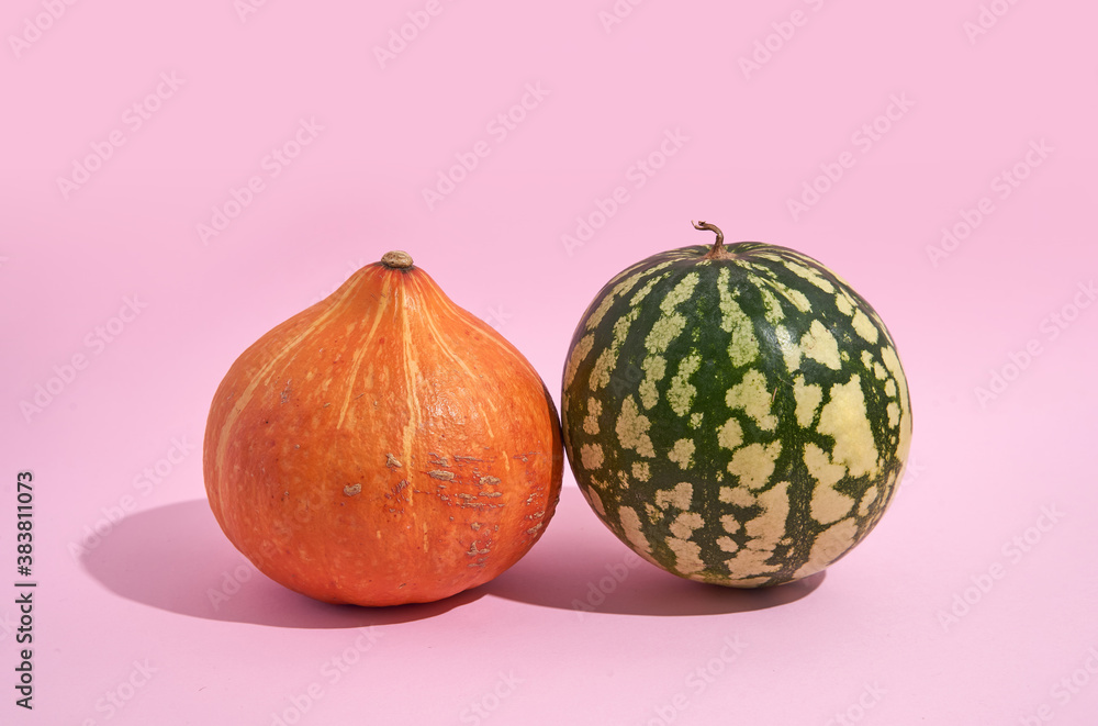Pumpkin and watermelon on pink background in sunlight. raw vegetarian food. Pumpkin and watermelon on pink background in sunlight. raw vegetarian food.