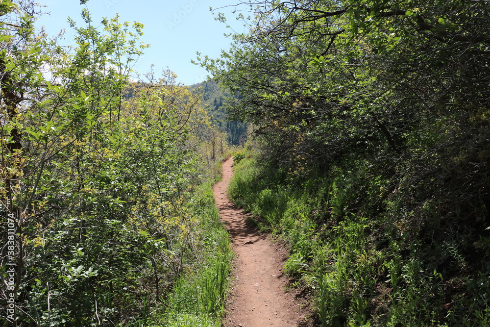 Fototapeta premium Hiking on the Grandeur Peak trail in the snowcapped Wasatch Mountain Range, Salt Lake City, Utah