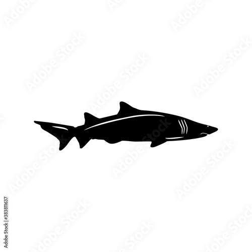 Shark Black silhouette. Icon  sign or logo. Sea predator symbol. Flat vector illustration.  EPS10.