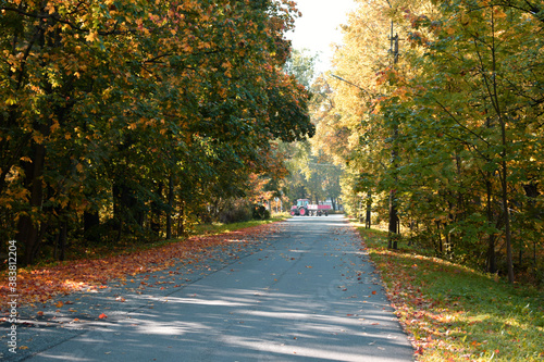 autumn in the city