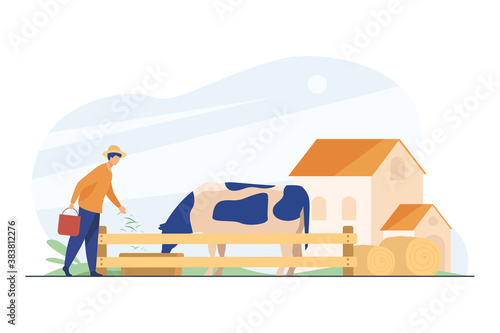 Farmer feeding cow with grass. Milk, cattle, breeding flat vector illustration. Livestock and animal farm concept for banner, website design or landing web page