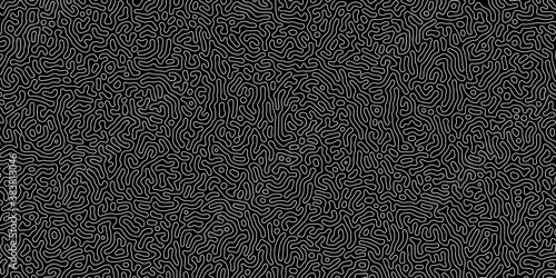 Abstract turing background. Сamouflage black and white pattern. Abstract line art background. Vector illustration. photo
