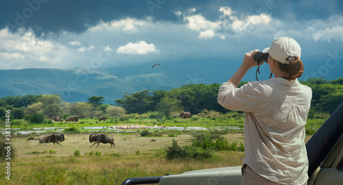 Woman tourist on safari in Africa, traveling by car in Kenya and Tanzania, watching birds, elephants and antelopes in savannah. Manyara National Park.
