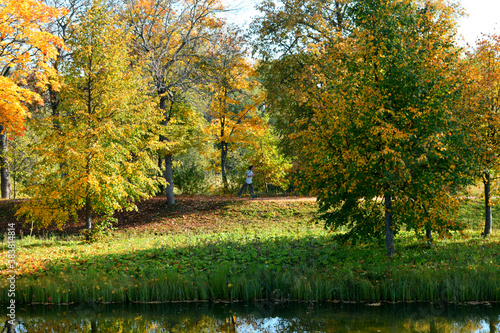 autumn in the park © tanzelya888