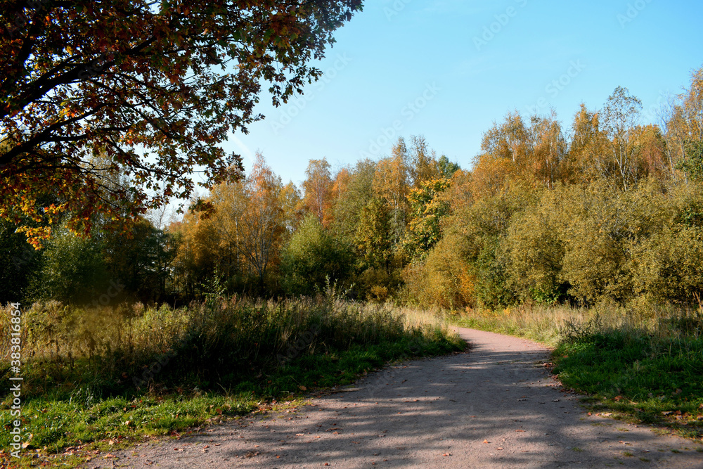 autumn in the park