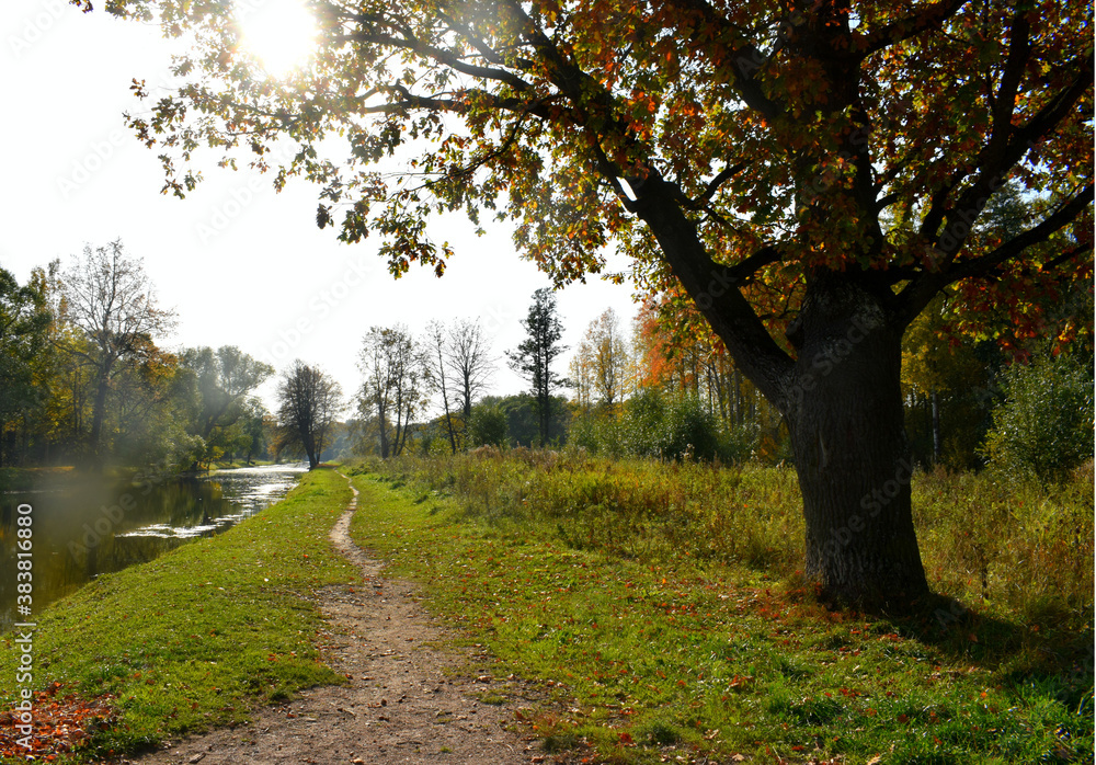 autumn in the park