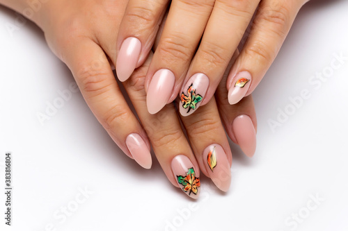 Autumn gel nail design. Nude manicure with painted maple leaves on long almond  oval nails close-up on a white background.