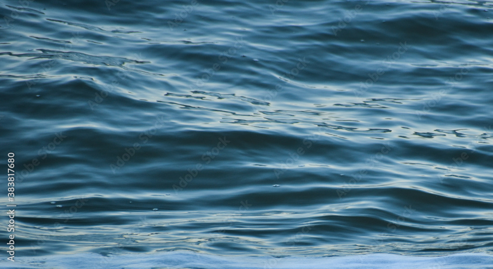 wave wave